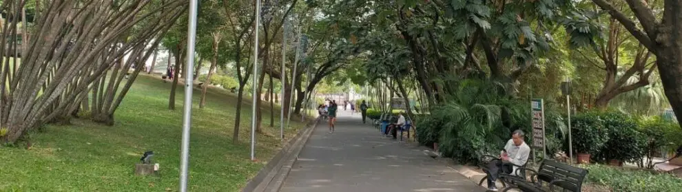 1 Dr Sun Yat Sen Municipal Park 028