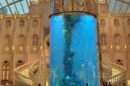 1 Mgm Aquarium 013