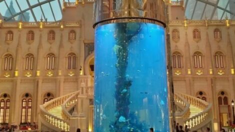 1 Mgm Aquarium 013