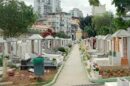 St Michael The Archangel Cemetery 28