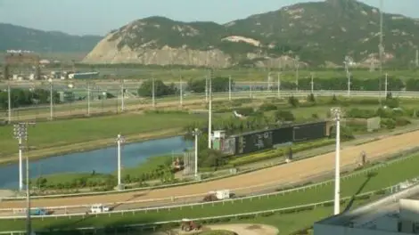 Taipa Racecourse 01