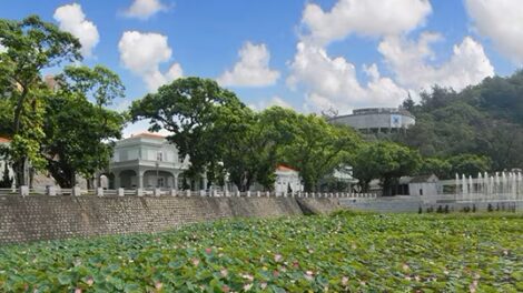 Macao Lotus Flower Festival 2