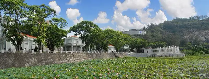 Macao Lotus Flower Festival 2